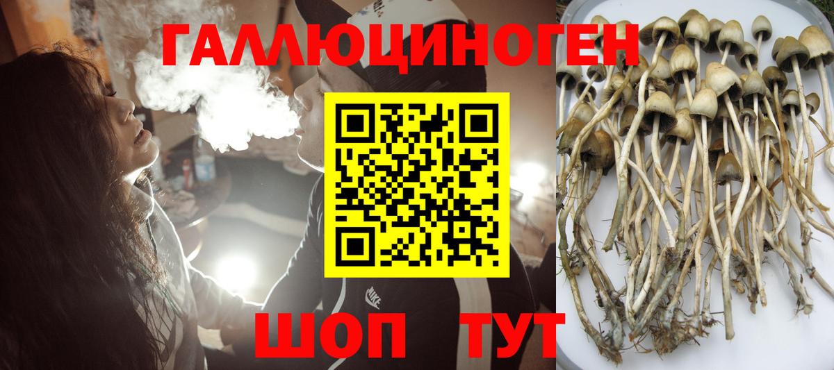 Галлюциногенные грибы GOLDEN TEACHER Кизилюрт