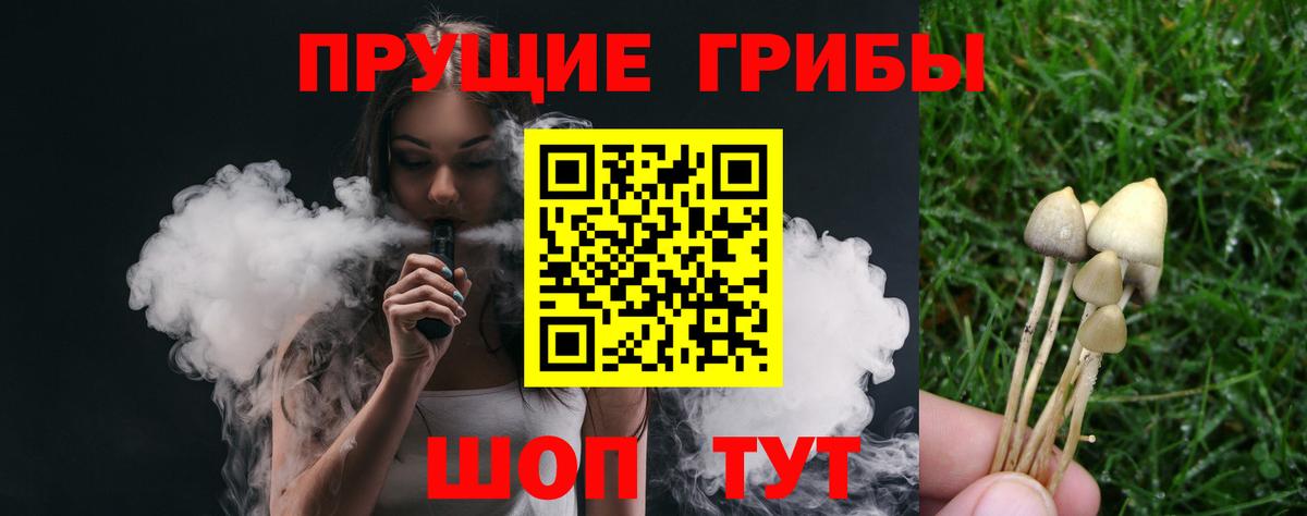 где купить наркоту  Вход с VPN  Кизилюрт  Псилоцибиновые грибы мухоморы 